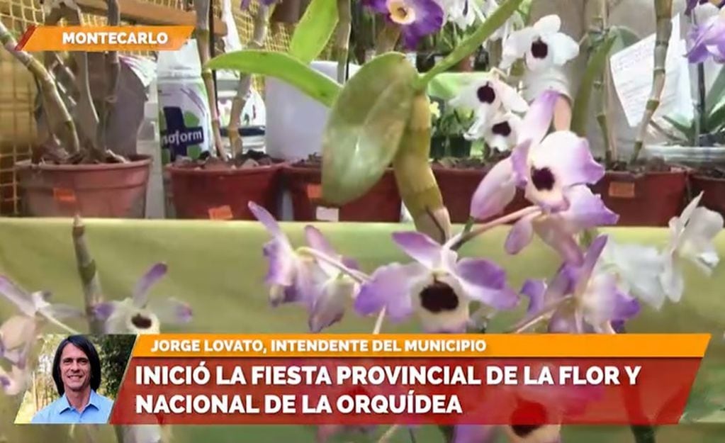 Con altas expectativas, inició en Montecarlo la Fiesta Nacional de la Orquídea y Provincial de la Flor.