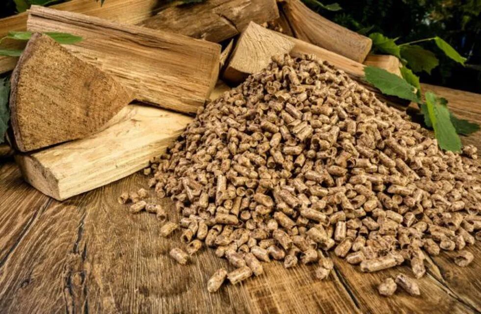 Producirán estufas que funcionan con pellets de madera en Capioví