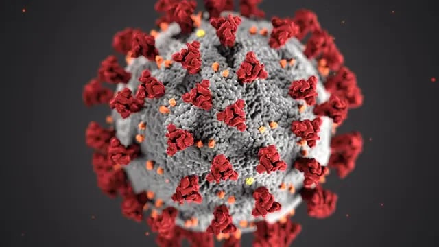 Segunda ola: 17 casos nuevos de coronavirus en Pérez