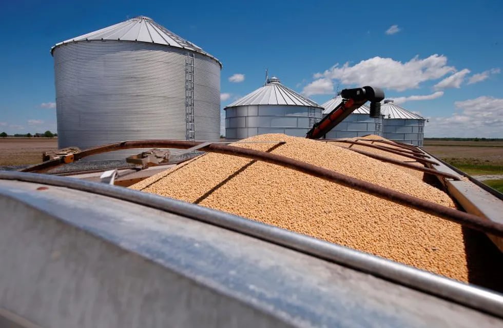 Soybeans awaiting transport sit in a truck-bed in Delaware, Ohio, on Tuesday, May 14, 2019. Some farmers fear the protracted trade war with China will permanently alter their sales, leaving them without a foothold in one of their largest markets. (AP Photo/Angie Wang)