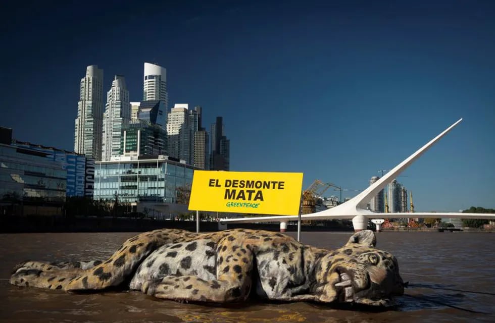 Greenpeace lanzó un yaguareté en Puerto Madero en protesta por los desmontes ilegales en el Chaco.