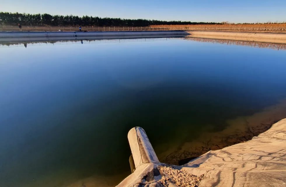 La estanque donde fueron hallados los cuerpos del matrimonio en finca La Urraca de Luján de Cuyo. Gentileza