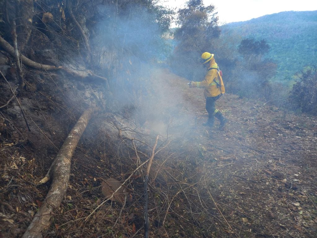 Ricardo Galván, el bombero voluntario rafaelino que combate el fuego en Misiones