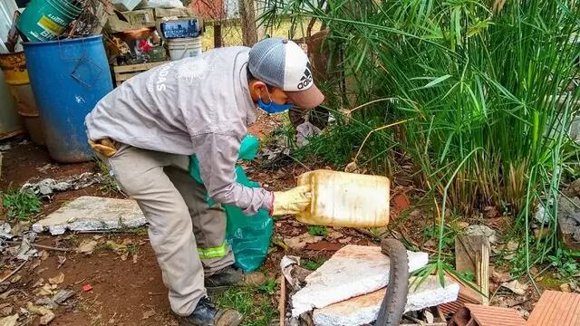 Posadas: realizan operativos contra el dengue durante el período interbrote