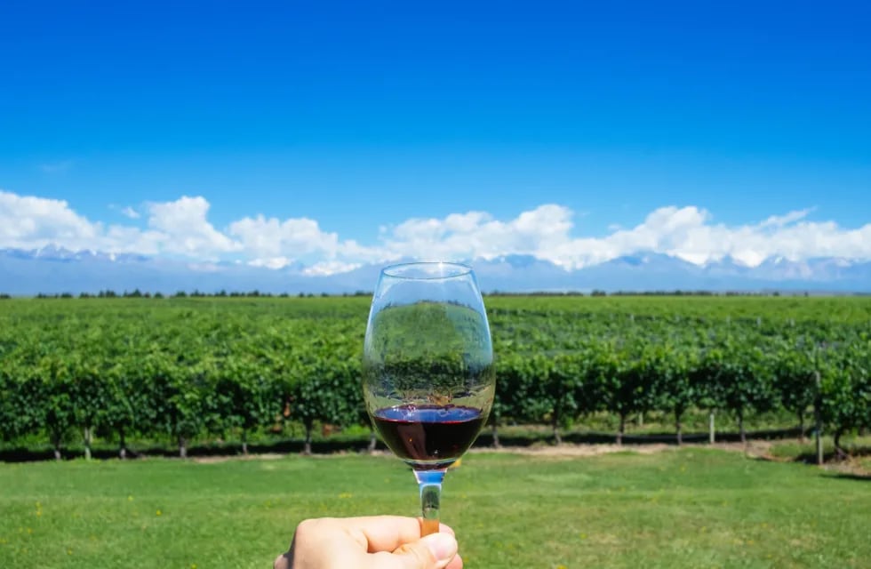 Mendoza será sede para un encuentro internacional de vinos en el 2022.