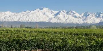 Mendoza entre los cinco sitios más elegidos para el invierno