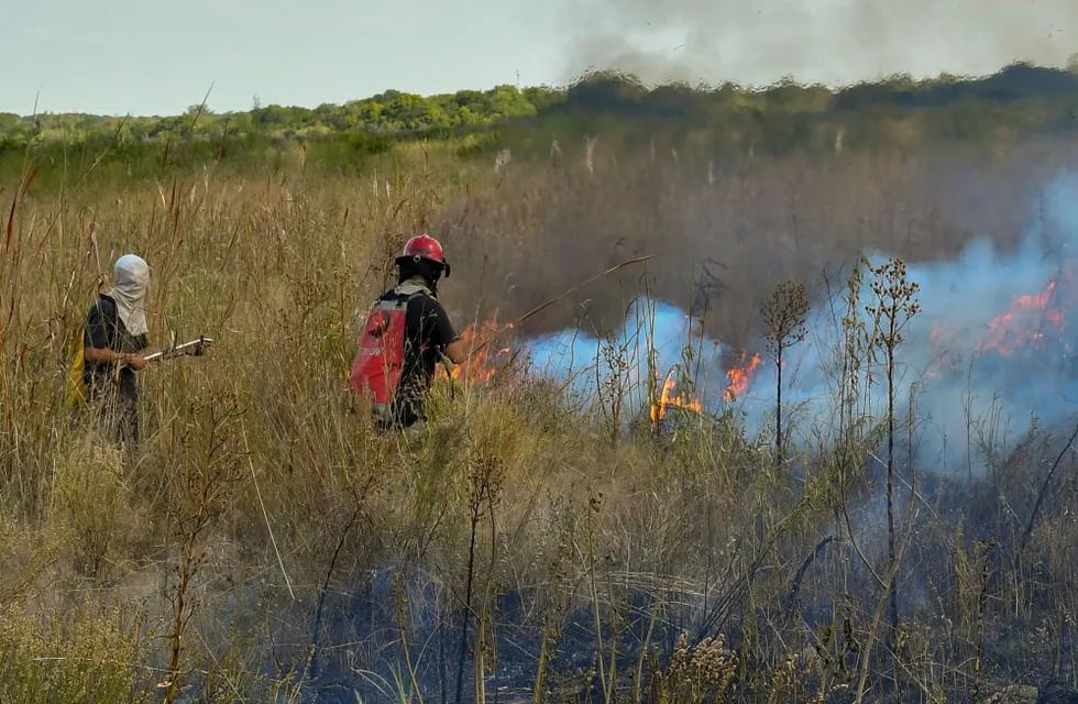 El fuego no da tregua en Corrientes.