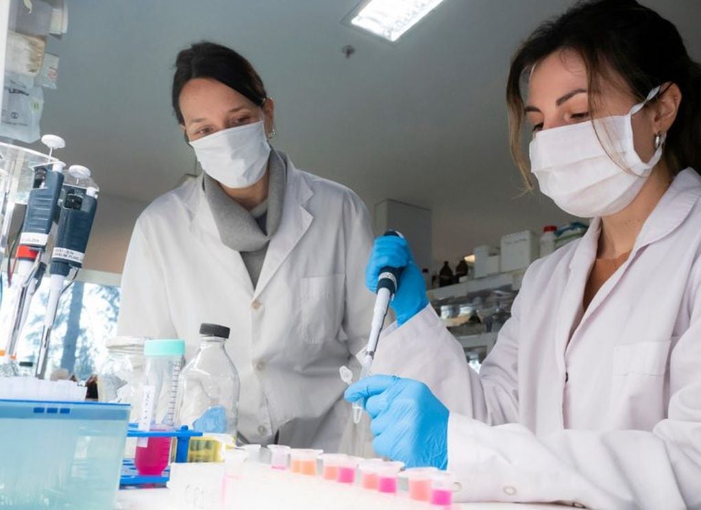 Investigadoras del Centro de Rediseño e Ingeniería de Proteínas del Instituto de Investigaciones Biotecnológicas de la UNSAM. (Foto: web UNSAM)