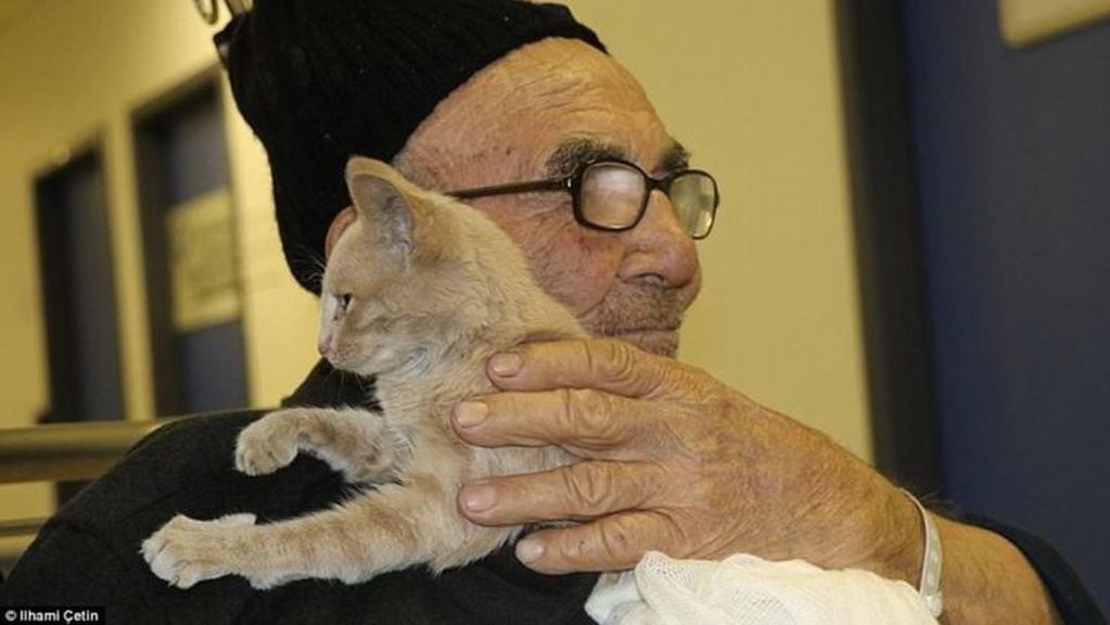 Ali Mese, el turco que salvó a su gata de un  incendio.