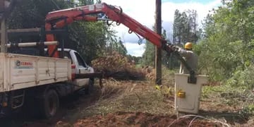 Energía de Misiones realizó trabajos en Jardín América y Loreto