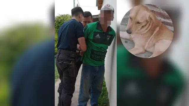 Gran repudio a un hombre que atacó a puñaladas a un perrito y lo detuvieron cuando quiso escapar en Corrientes.