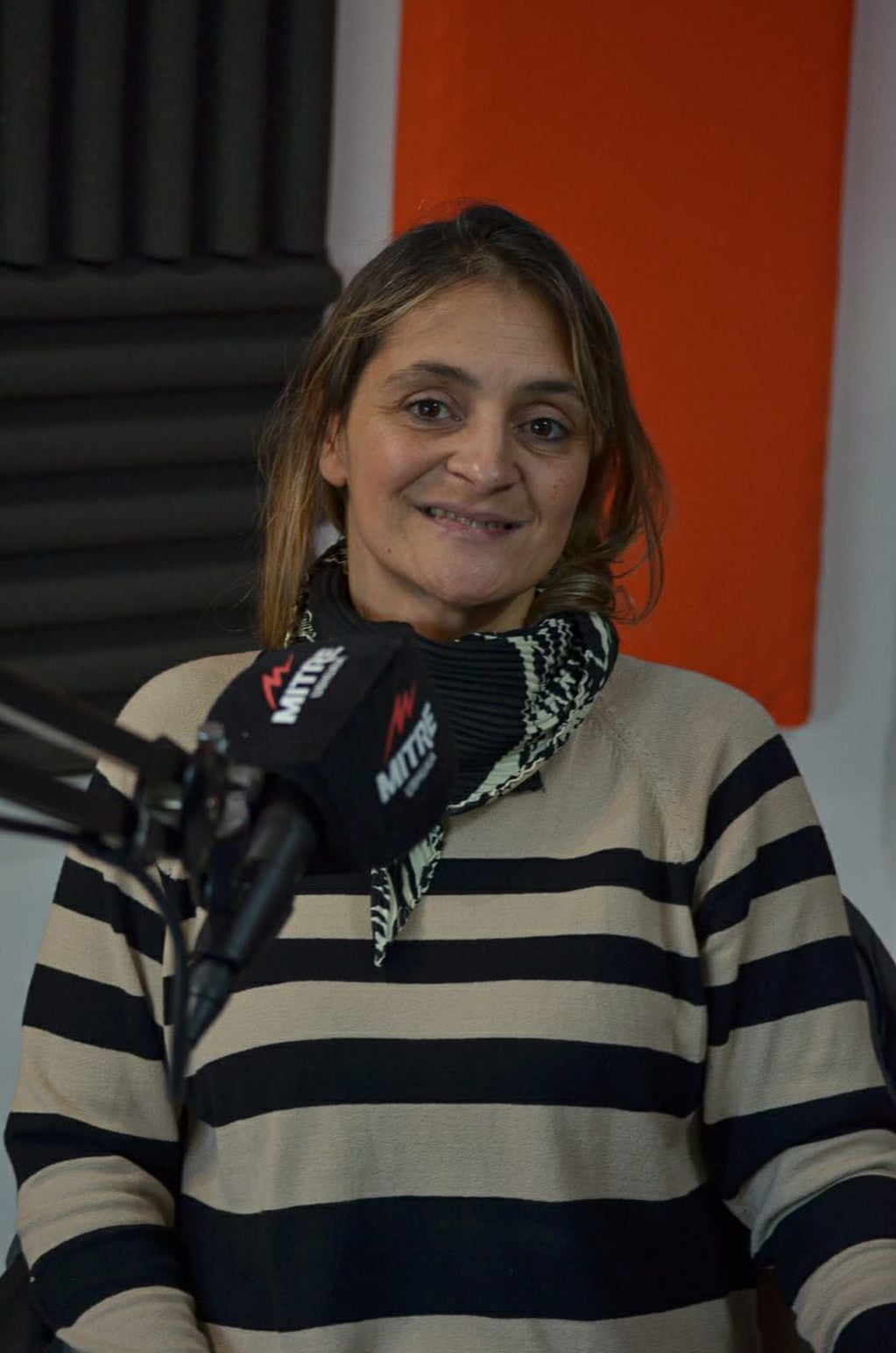 Ana Arcos, directora general del Instituto Provincial de Análisis e Investigación, Estadísticas y Censos (IPIEC) en "La Hora Vía", por radio Mitre Ushuaia.
