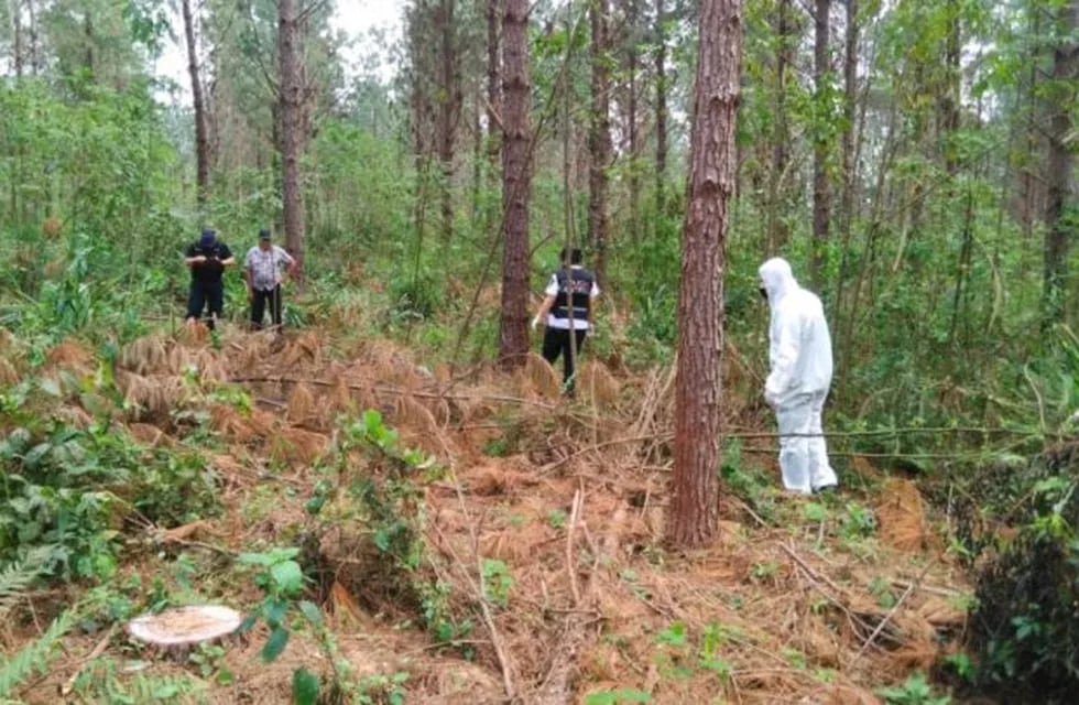 El cuerpo encontrado en el pinar de Mado tenía 18 puñaladas y estaba quemado