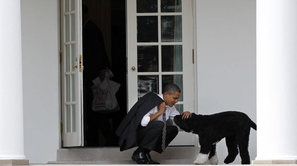 Barack Obama con su perro. (AP).