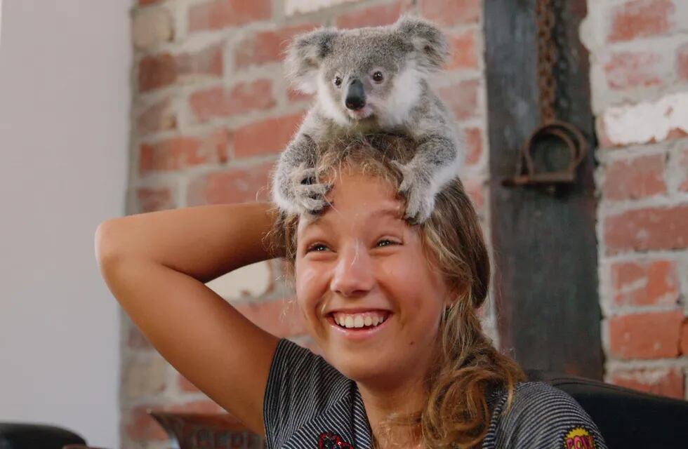 Netflix estrena la segunda temporada de Izzy y los koalas.