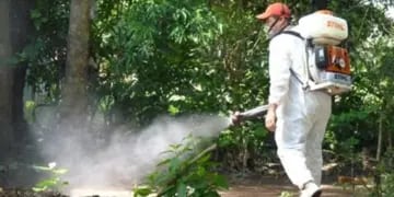 Siguen en aumento los casos de chikungunya en Misiones