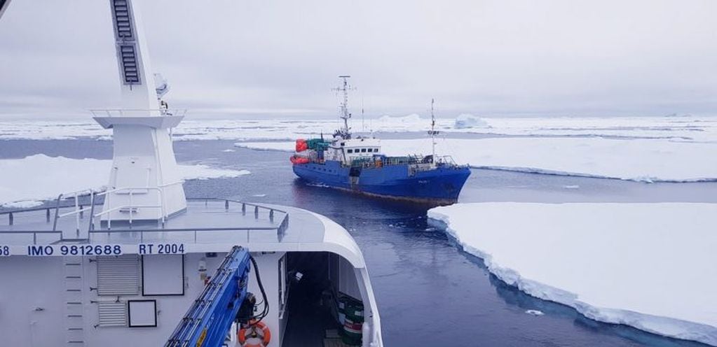 Pesca en Antártida, entre témpanos y buques.