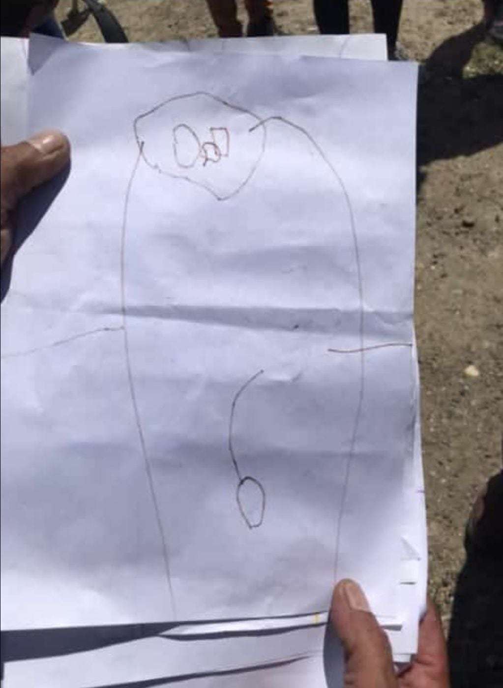 Los dibujos de los niños del Jardín 406 de Comodoro Rivadavia que evidencian los abusos.