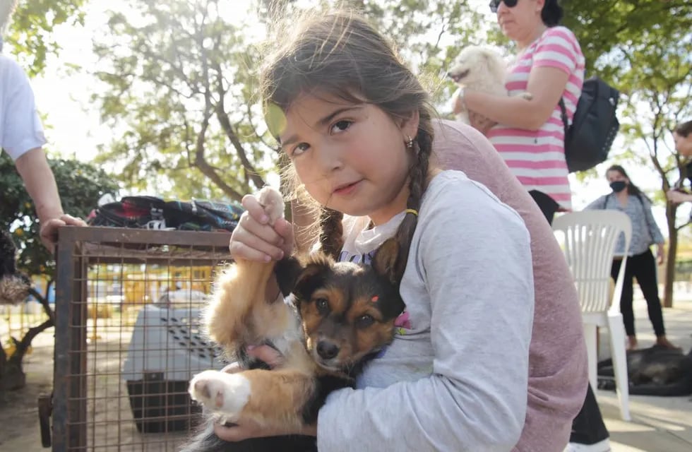Adopción en Plaza 25 de Mayo de Arroyito por el Refugio Canino