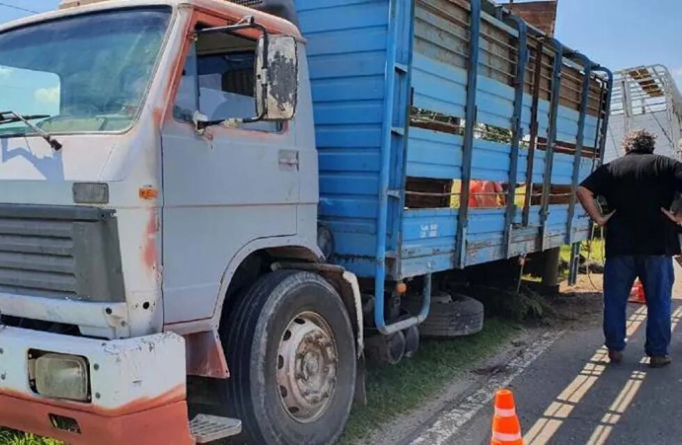 23 vacas fueron robadas a un productor rural de Hernando. El camión que las transportaba se averió y abandonaron la carga en la ruta.