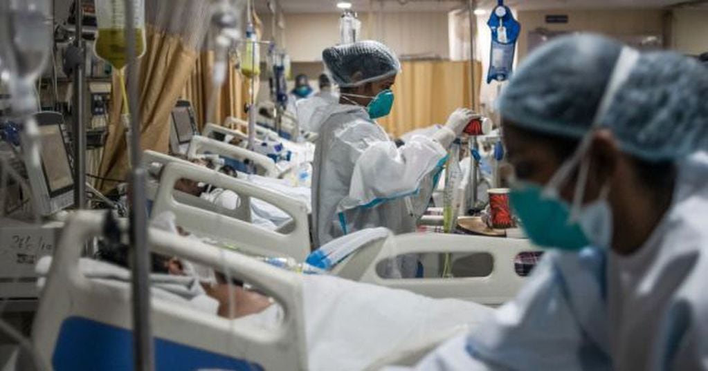 El Candida auris, más conocido como "Súper Hongo" ya contabiliza tres casos confirmados en Brasil por los laboratorios.