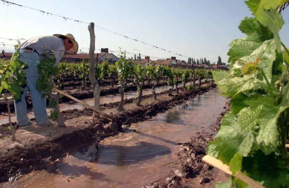 Riego a demanda y acordado para Mendoza