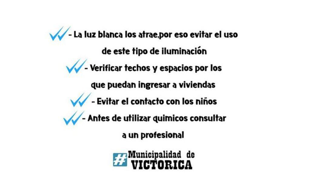 Las recomendaciones de la Municipalidad de Victorica (Facebook)