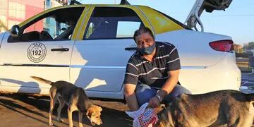 Un taxista instaló tres cuchas para perros sin hogar en la terminal de Posadas