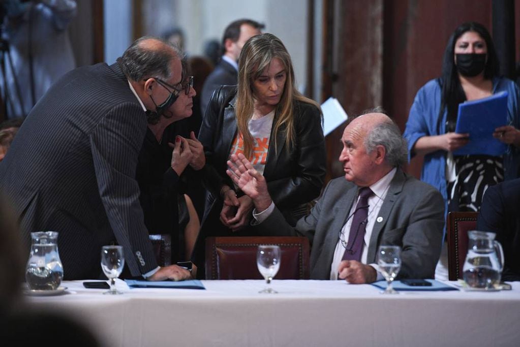 Juliana Di Tullio del bloque Unidad Ciudadana, alineado a Cristina Kirchner (Foto: Comunicación Senado)