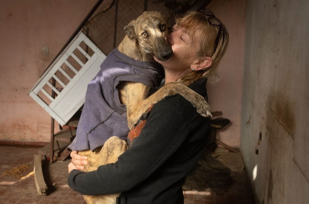 Rousi busca desesperada un nuevo refugio para sus 75 perros rescatados de la calle. Ignacio Blanco/Los Andes