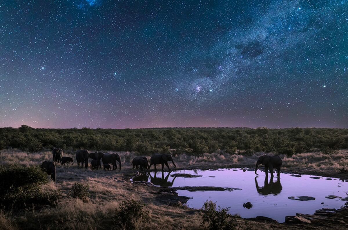 Día del ambiente: los 5 mejores documentales sobre la naturaleza para ...