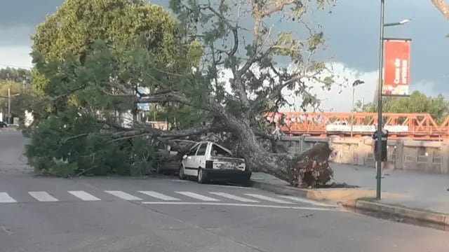 Fuerte tormenta de viento en Gualeguaychú destrozó autos