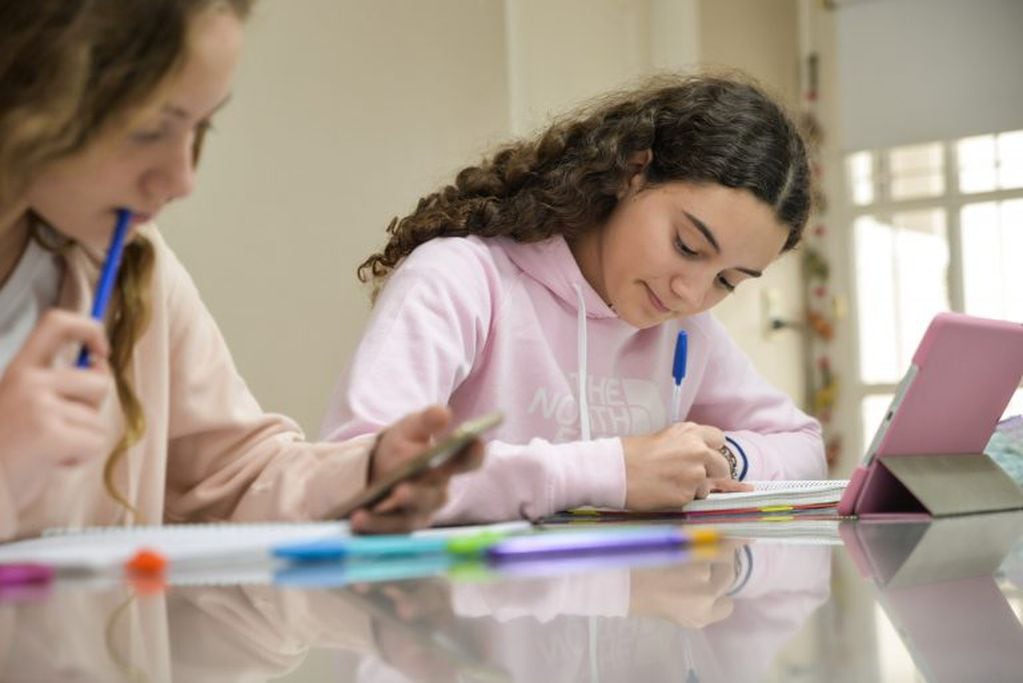 Estudiar en casa, clases virtuales, clases online, educación en pandemia. Mendoza.