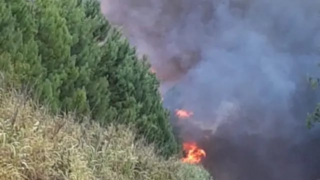 Feroz incendio en inmediaciones de comunidad aborigen en Capioví