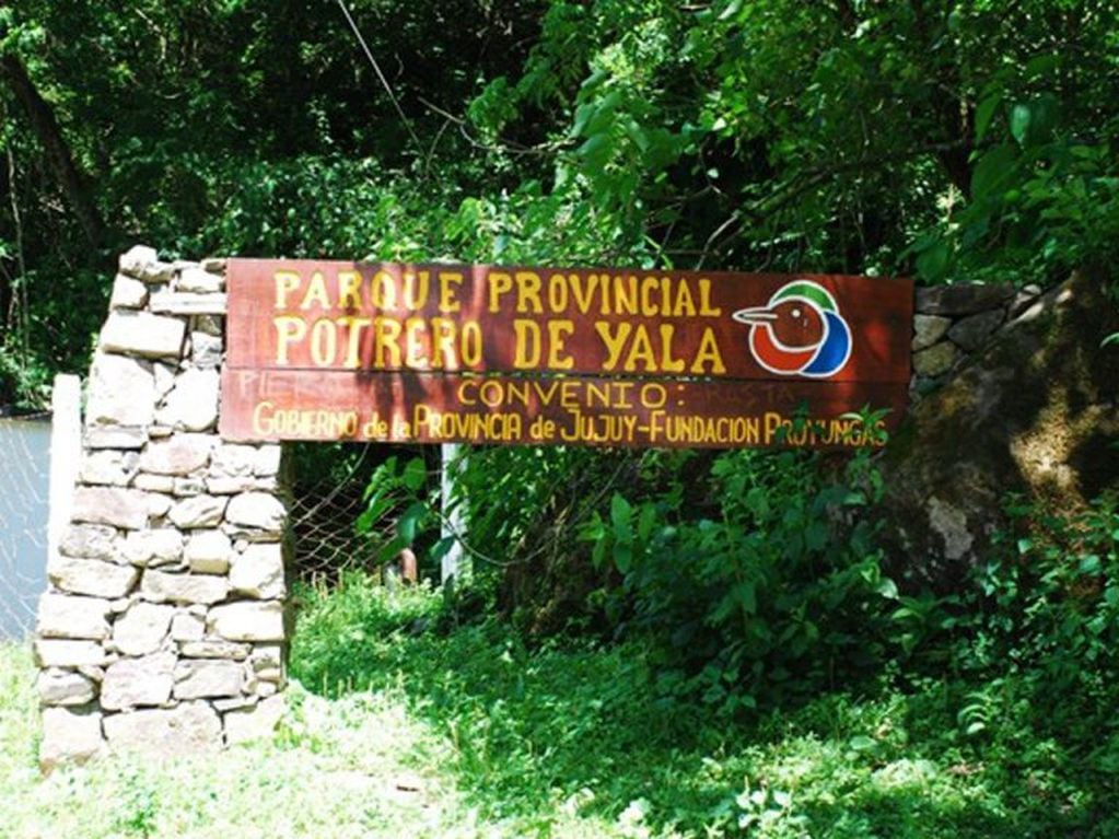 El Parque Provincial "Potrero de Yala" es una verdadera joya de la ecoregión Yungas.
