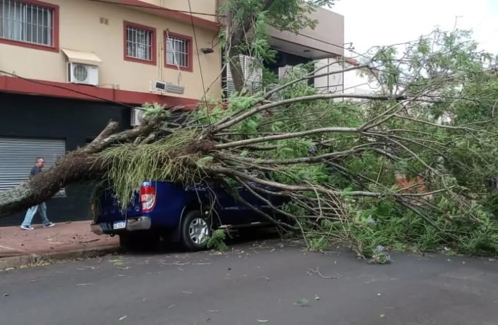 Destrozos, árboles caídos y dos personas lesionadas tras el fuerte temporal en Posadas.