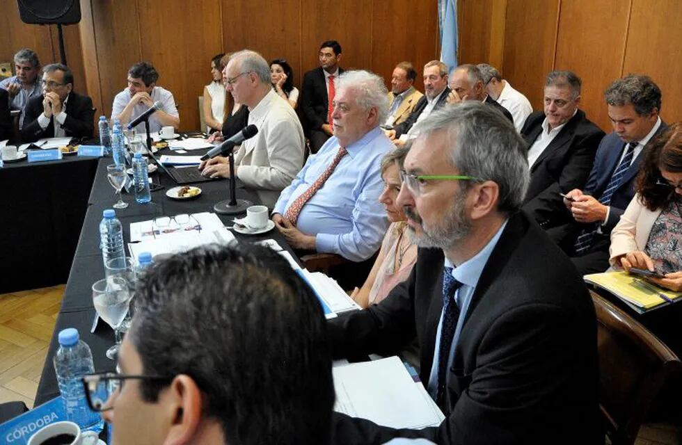 Fabián Puratich, en la reunión del Consejo Federal de Salud.