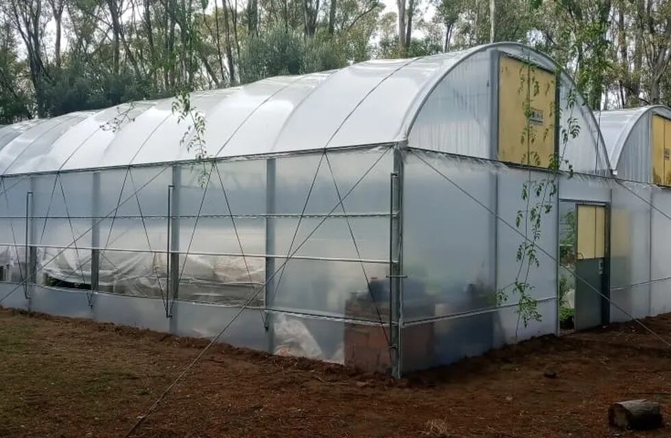 Obras en el invernadero del vivero