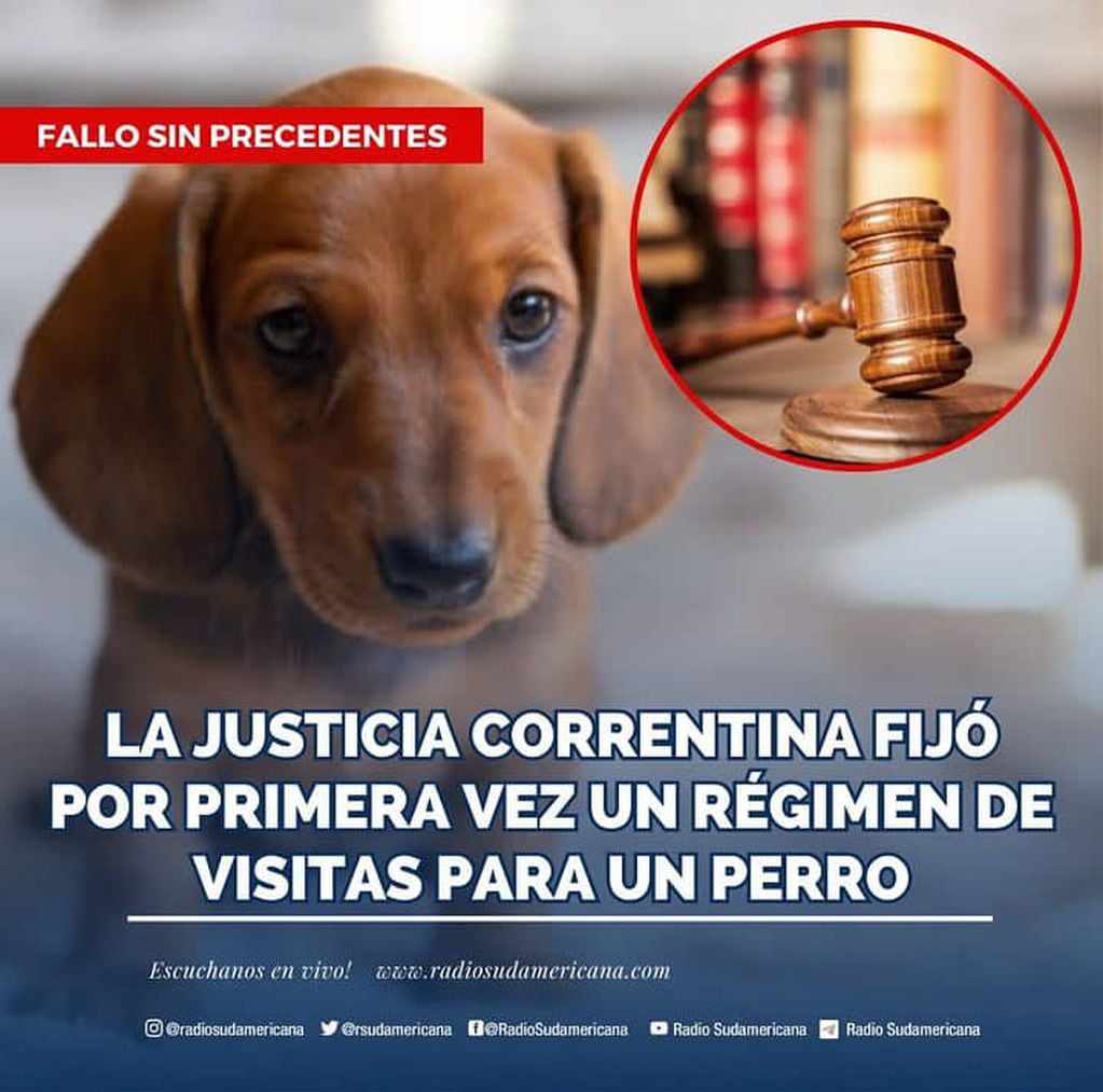 El Instituto de Derecho Animal del Colegio de Abogados de Corrientes celebró la noticia en sus redes sociales.