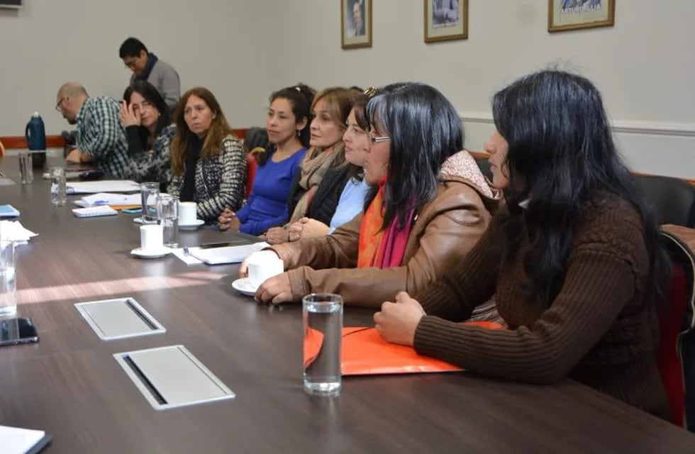 La Legislatura de Jujuy aborda la temática TEA