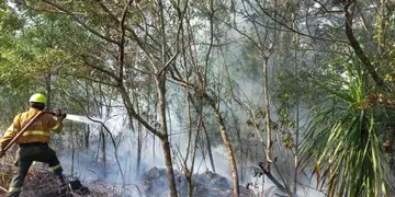 Ocho hectáreas de un área natural protegida consumidas por un incendio en Puerto Libertad