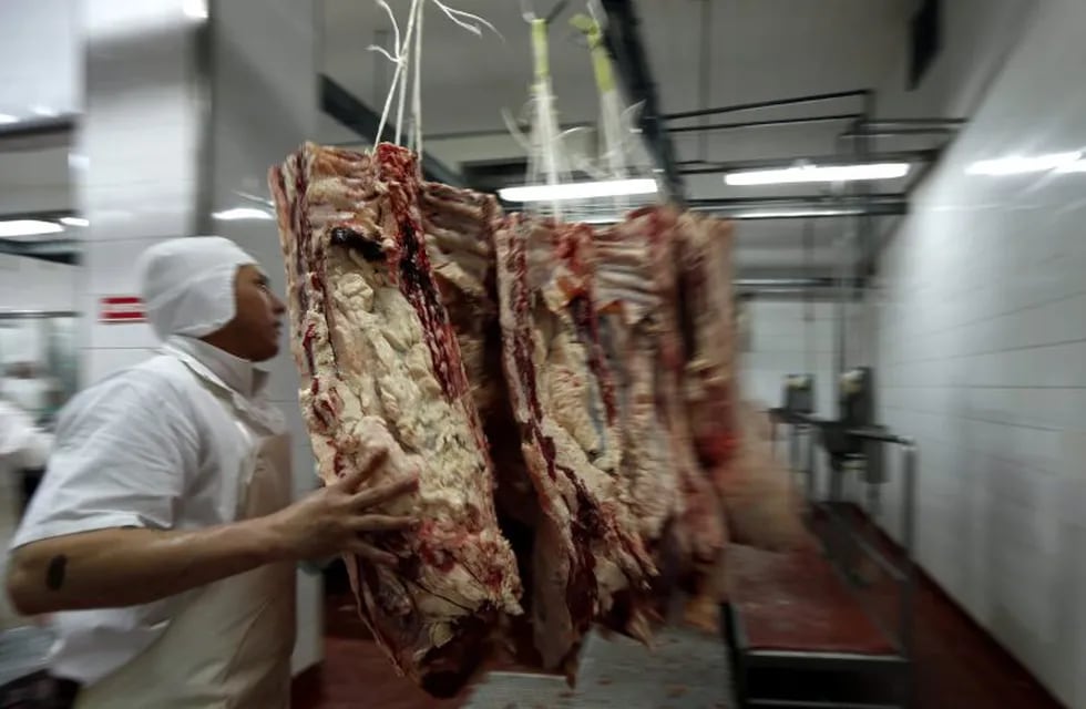 A worker handles beef carcasses at the Ecocarne Meat Plant slaughterhouse in San Fernando, Argentina, June 26, 2017. Picture taken June 26, 2017. REUTERS/Marcos Brindicci San Fernando  frigorifico Ecocarne frigorificos carne