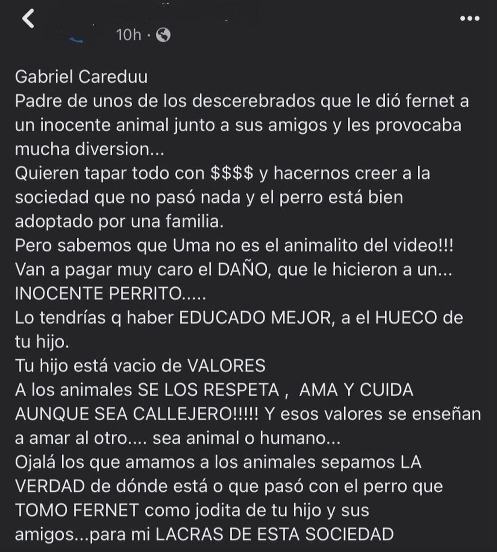 Las dudas alrededor de "Uma", la perra que fue obligada a tomar alcohol.