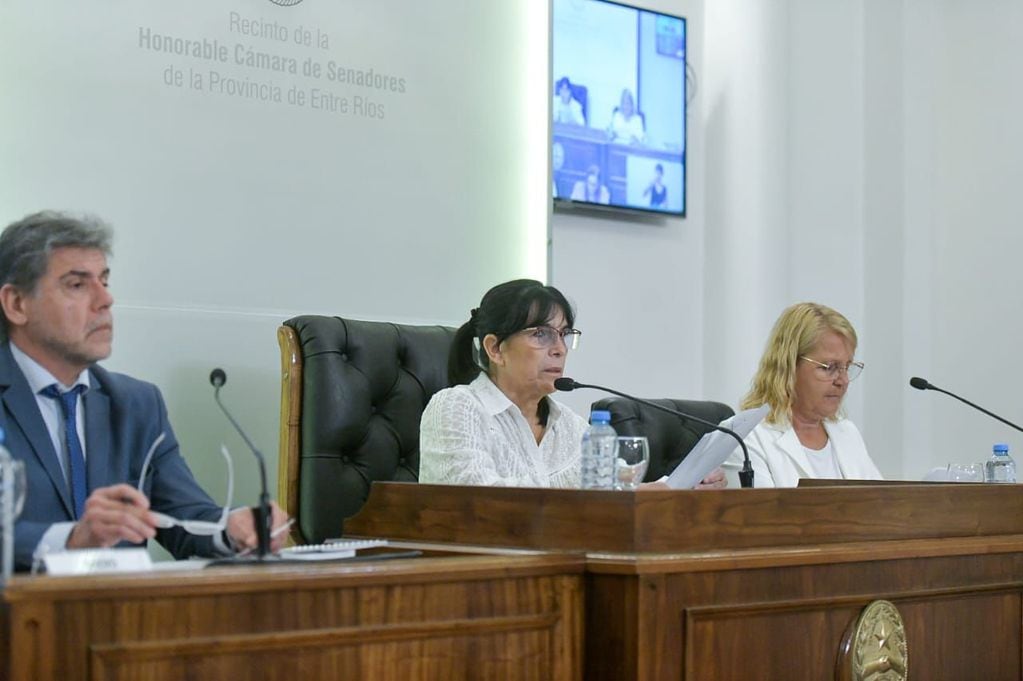La presidenta de la Cámara Alta, Alicia Aluani junto a los vicepresidentes Rafael Cavagna y Nancy Miranda en la sesión preparatoria.