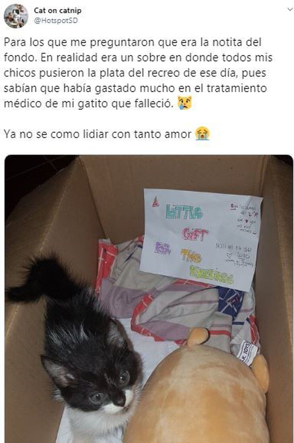Alumnos le regalaron a su maestra un gatito (Foto:Web)