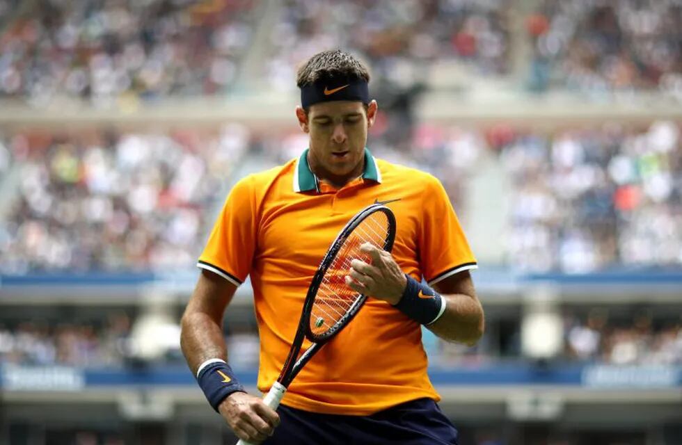 Juan Martin del Potro (Foto: Julian Finney/Getty Images/AFP)