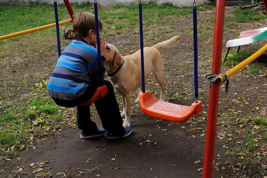 Niños juegan perros.