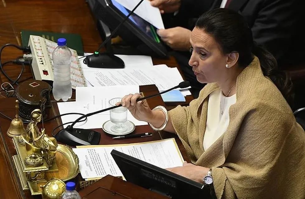 Gabriela Michetti protagonizó un insólito blooper en el Senado.