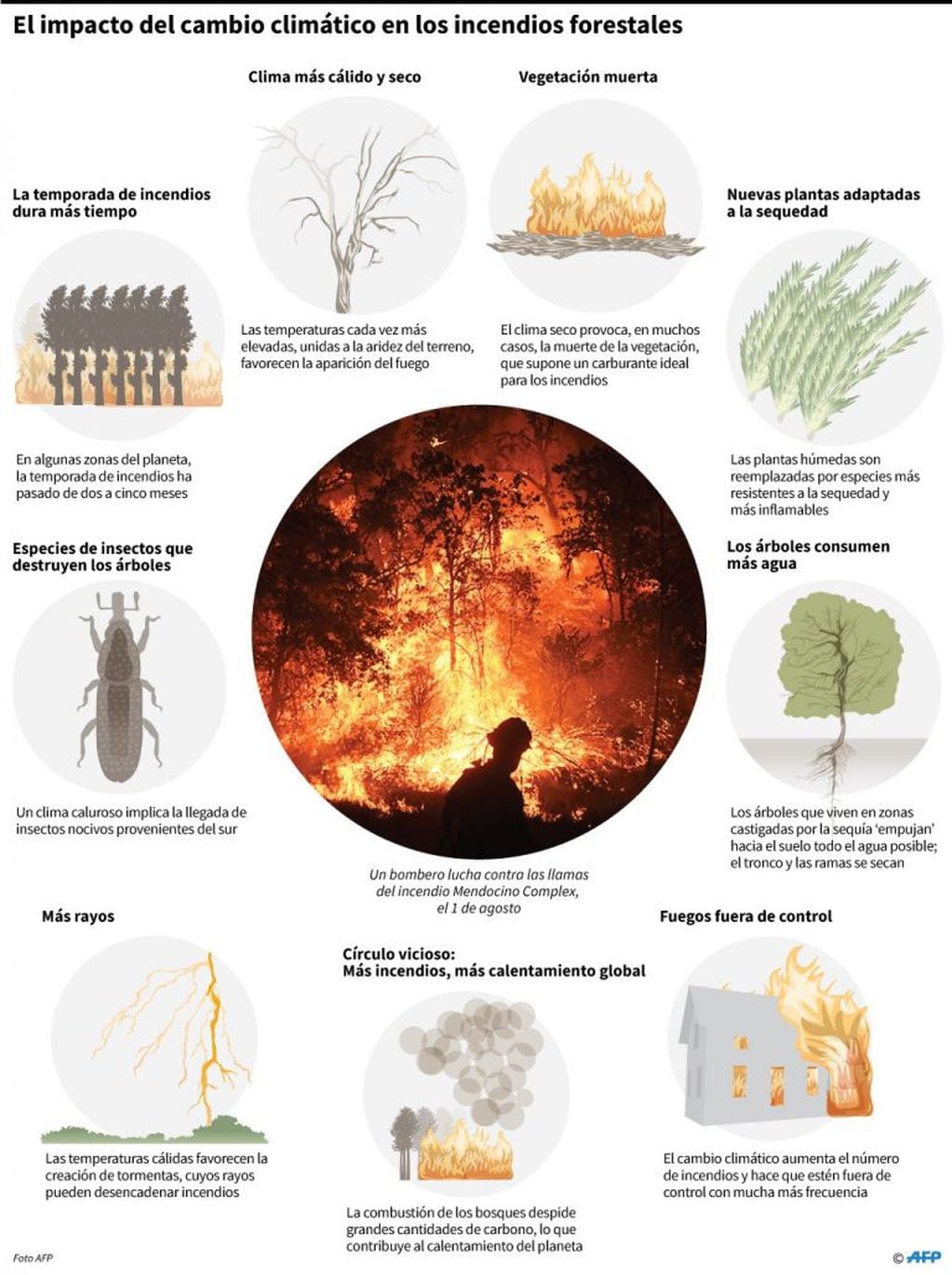 Gráfico mostrando cómo el cambio climático agrava los incendios forestales - AFP / AFP