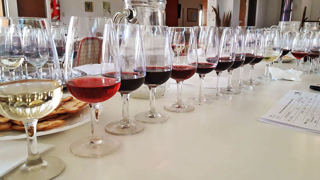 En las celebraciones por el Día del Vino se podrán hacer todo tipo de catas en el recientemente creado Distrito del Vino. Foto Gentileza.